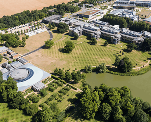 The Ickleton Lion - Wellcome Genome Campus