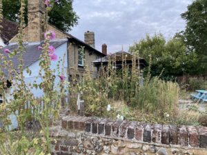 Pub Garden July 2024
